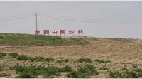 烏海市沙化地改良示范