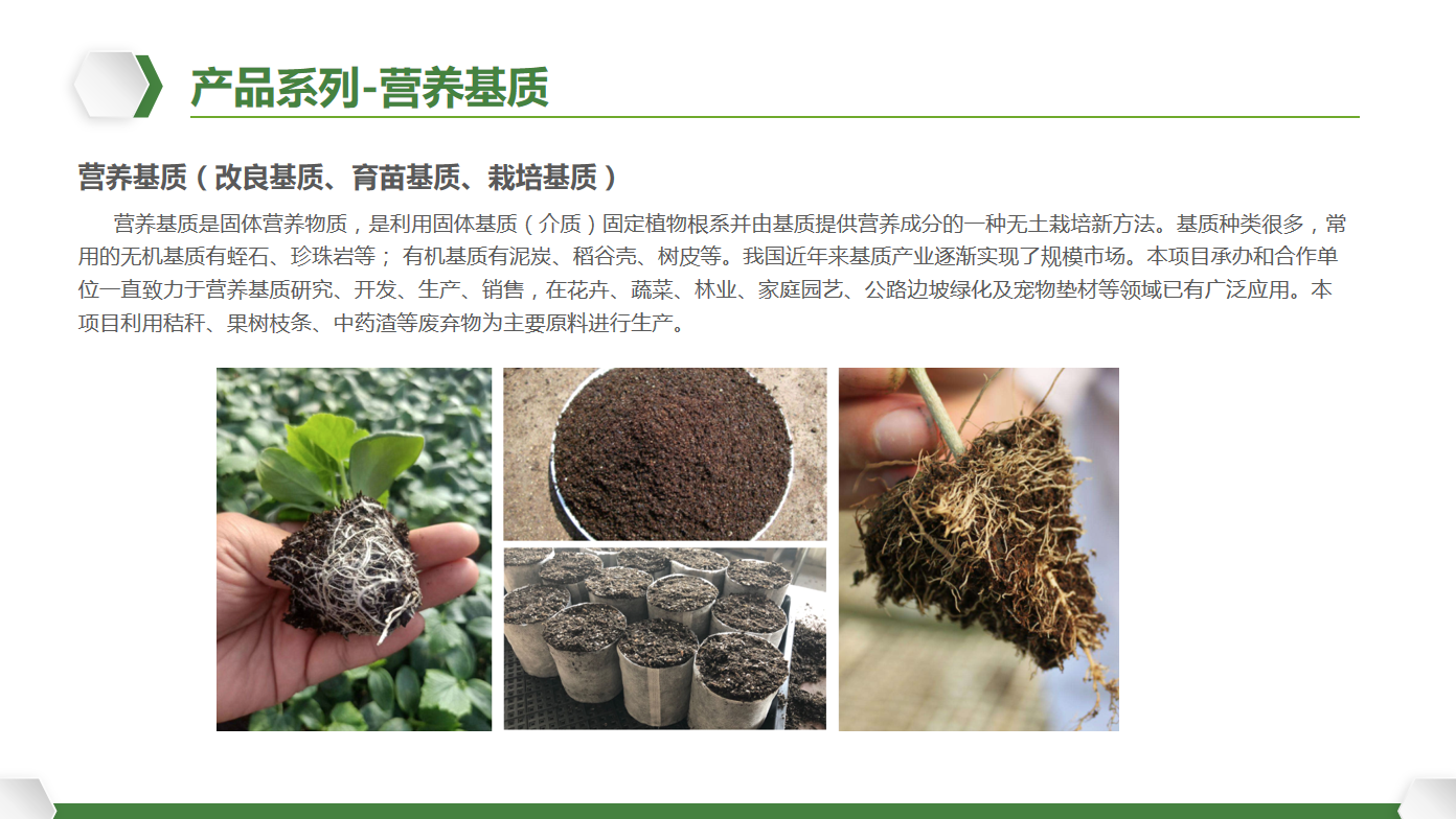 營養基質.png