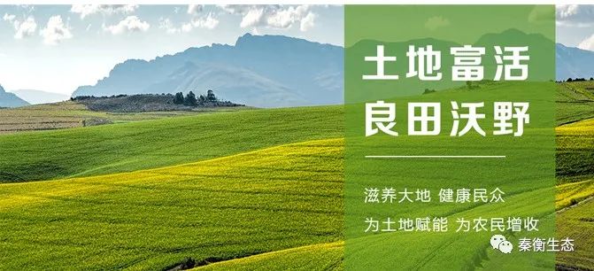 助力大安市鹽堿地改良的創(chuàng)新之舉