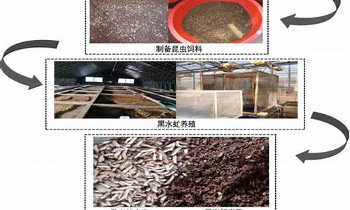 有機廢棄物轉化為養地產品的全面介紹(圖1)