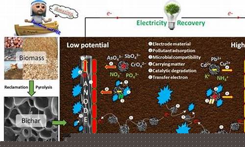 利用微生物技術修復污染土壤的方法(圖1)